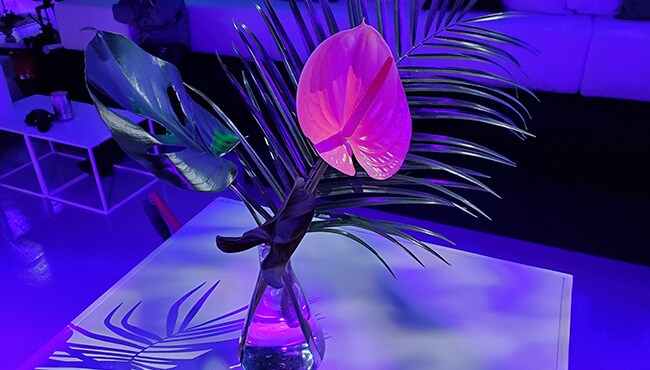 tropical centerpiece